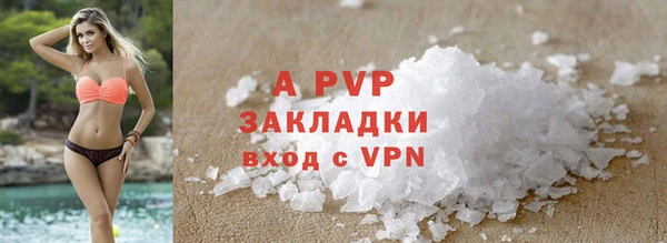 apvp Белокуриха