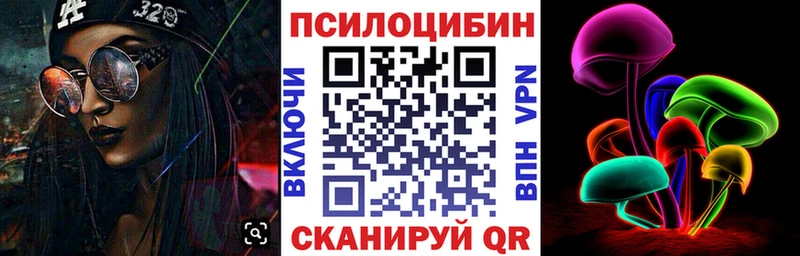 blacksprut рабочий сайт  Гай  Псилоцибиновые грибы Magic Shrooms 