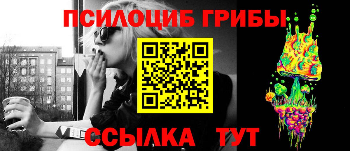 Гай  Псилоцибиновые грибы Cubensis  где купить наркотик  Галлюциногенные грибы мухоморы  Вход с VPN 